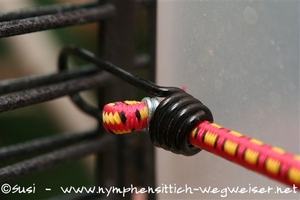 an der Voliere eingekahtes Gepäckgummi