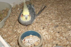 Lindbergh am 24.03.2016