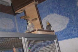 Lissy und Jakob auf dem Spielplatz