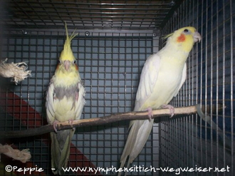 Ronja und Gonzo