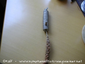 Dübel in das seitliche Loch stecken