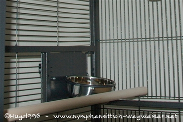 Die Näpfe der Daytona sind für Nymphensittiche zu groß