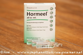 Homöopathisches Komplexmittel - Hormeel der Firma Heel