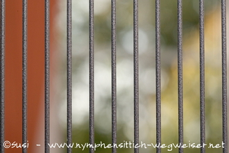 Pulverbeschichtung aus Kunststoff