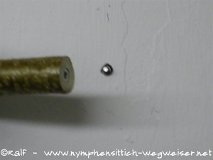 Stockschraube mit Dübel in die Wand schrauben