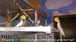 Eddi und Micky mit Piku auf der Anflugklappe