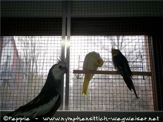 Elisabeth und Jakob am Fenster mit Justus