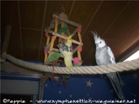 Frau James auf "Höhenflug" Bild 2