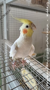 Hallo, ich bin Maxi