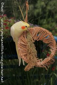 Lutino an der Hirse auf dem Lederring