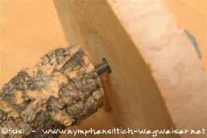 Ast mit der Baumscheibe verbinden