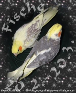 Sternzeichen