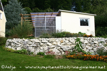 sehr gepflegte Zuchtanlage - solider Steinbau mit Aluaußengehegen