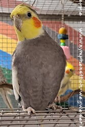 Skyler im November 2024