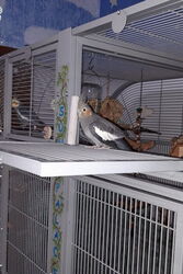 Zadie im November 2019