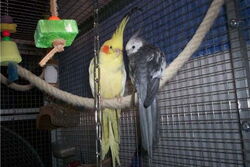 Frau James und Justus in trauter Zweisamkeit