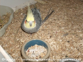 Lindbergh am 24.03.2016