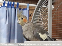 Zadie im Oktober 2020