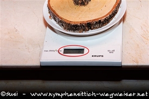 Gewicht von der Waage ablesen