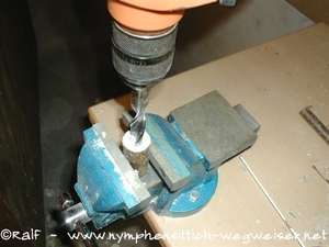 Loch in den Ast bohren