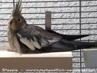 Hallo, ich bin Thira