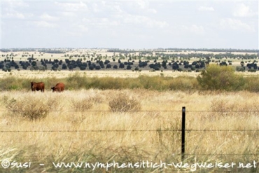 Landschaft Australiens