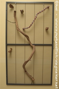 Kletterwand aus einem Trenngitter