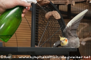 Lili lässt sich duschen