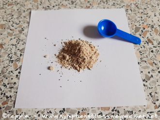 Pilzpulver mit Dosierlöffel