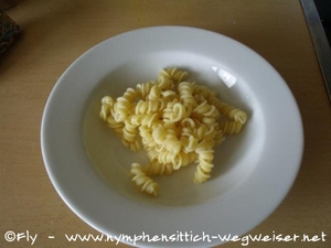 salzlos gekochte Nudeln