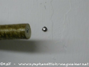 Stockschraube mit Dübel in die Wand schrauben