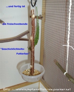 Fertige Futterbar