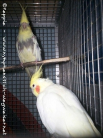Ronja und Gonzo
