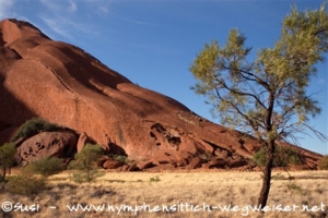 Zentral Australien, Aufstieg des Uluru (Ayers Rock)