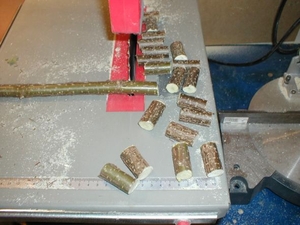 Schritt 1: kurze Äste sägen