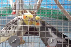 Leni und Victor im August 2019