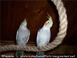 Lisa und Fino auf der Sisalspirale