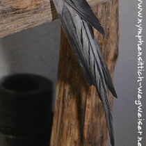 Weißkopf Hahn - Schwanz von unten