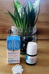 Anwendung der Schüßler Salze bei Nymphensittichen