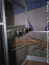 Das Futterdrehtablett