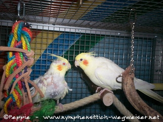 Annika und Gonzo
