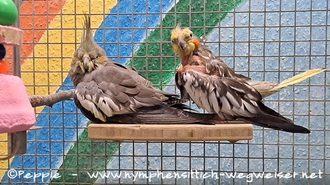 Gretel und Skinny im Juli 2025