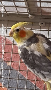 Hallo, ich bin Jacky