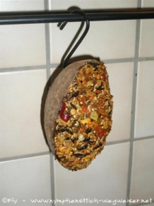Gefüllte Kokosnuss