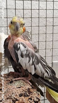 Skinny im Januar 2025