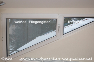 helles Fliegengitter