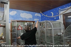 New Sunday City wird bezogen