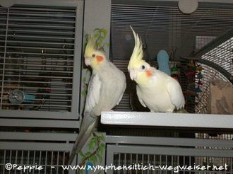 Pedro und Sponcha-Maja am Sun-Palace