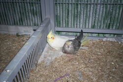 Pinky und Lilli im Sun-Palace