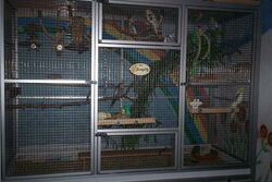 Sunday City im September 2012